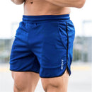 Men Fitness Shorts Blue L