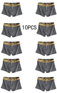 10Pcs Men's Underwear D 10pcs XXL 60-70kg