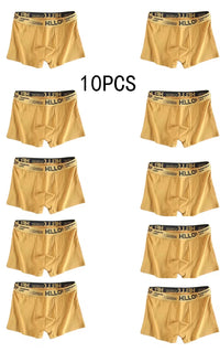 10Pcs Men's Underwear C 10pcs L 40-50kg