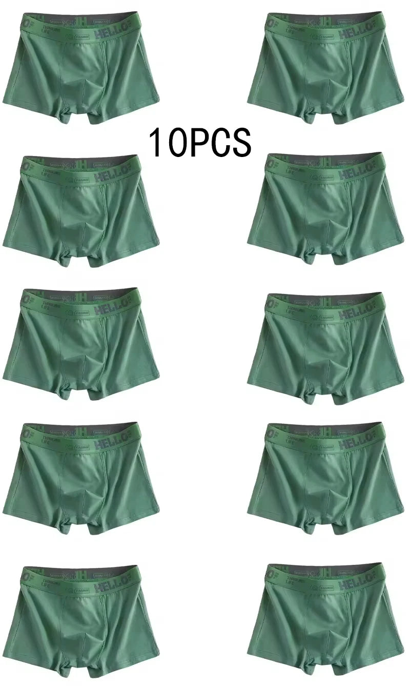 10Pcs Men's Underwear B 10pcs XL50-60kg