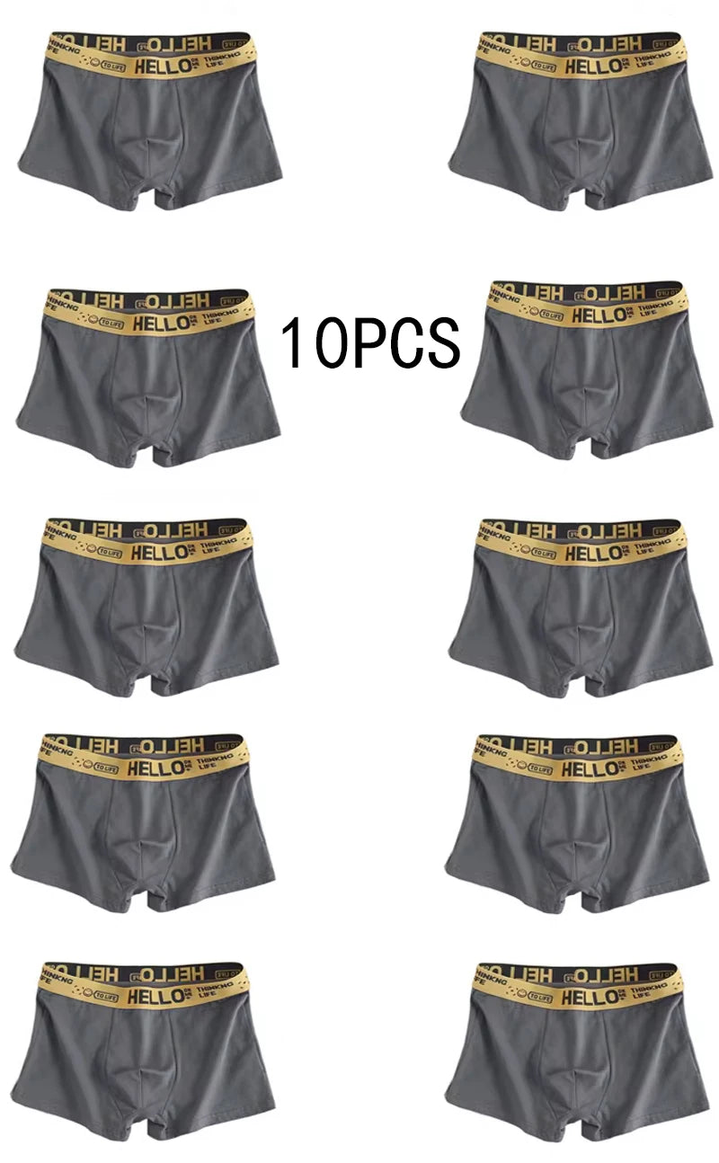 10Pcs Men's Underwear D 10pcs XL50-60kg